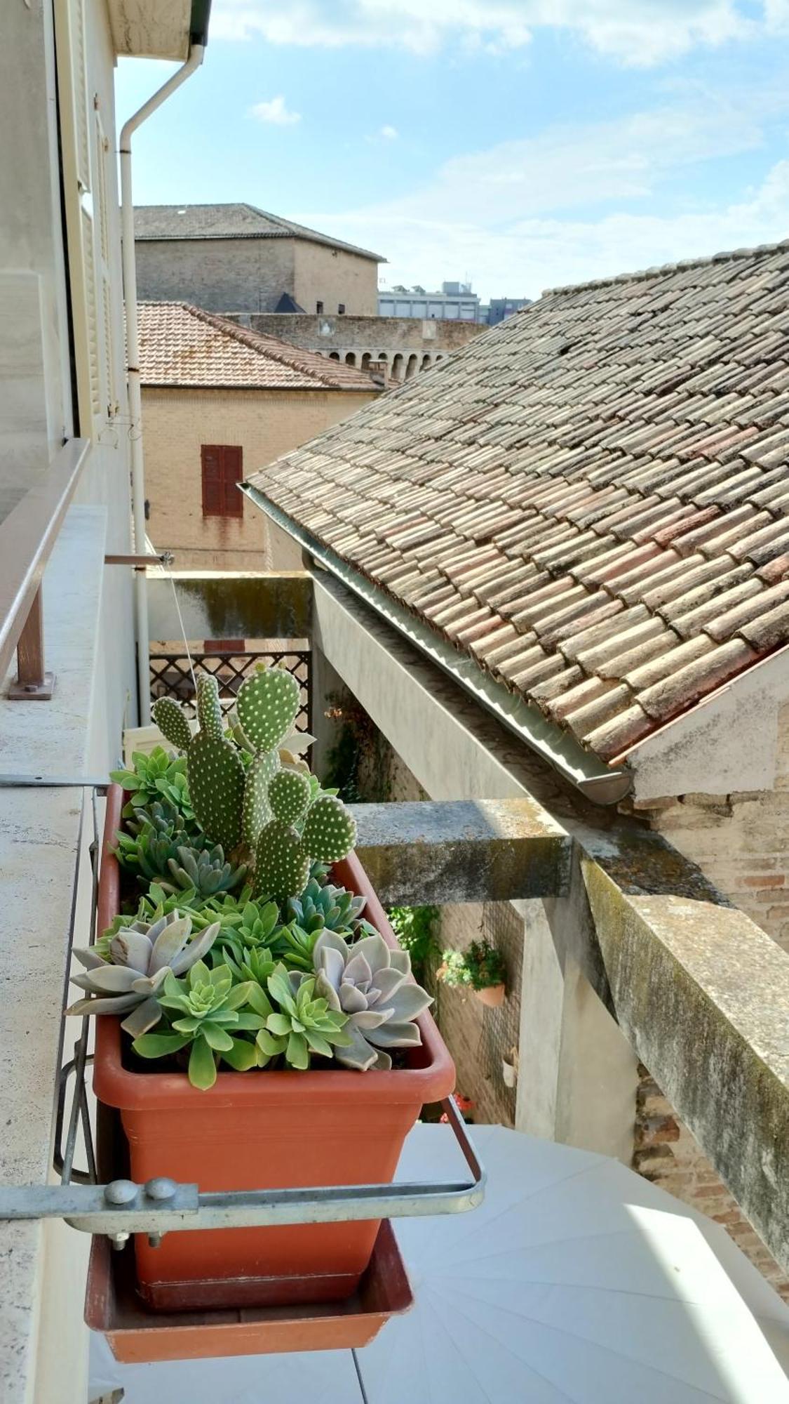 Palazzo Cavalletti - Appartamenti Nel Cuore Di Σενιγκάλια Εξωτερικό φωτογραφία
